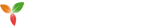 trilium-banner.png